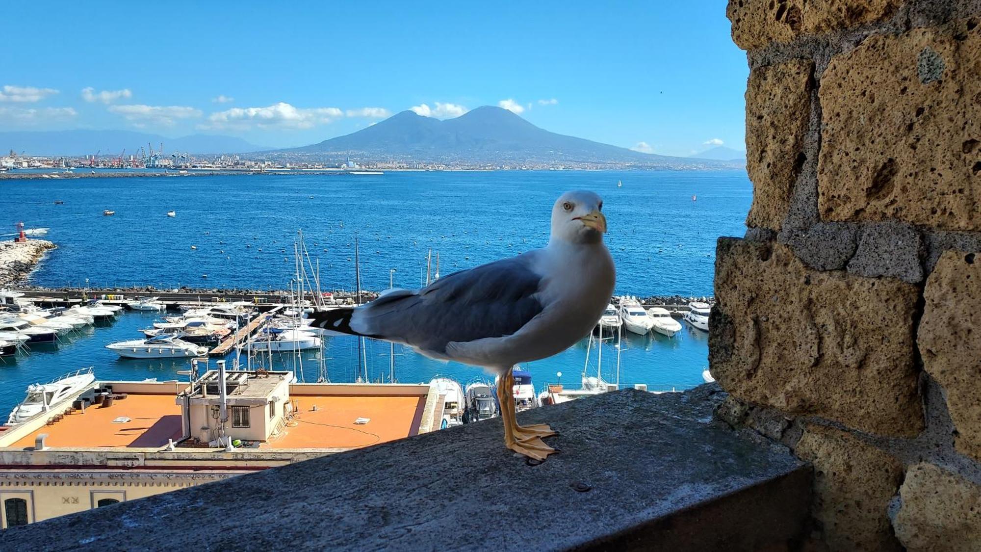 شقة Domus Napoli المظهر الخارجي الصورة